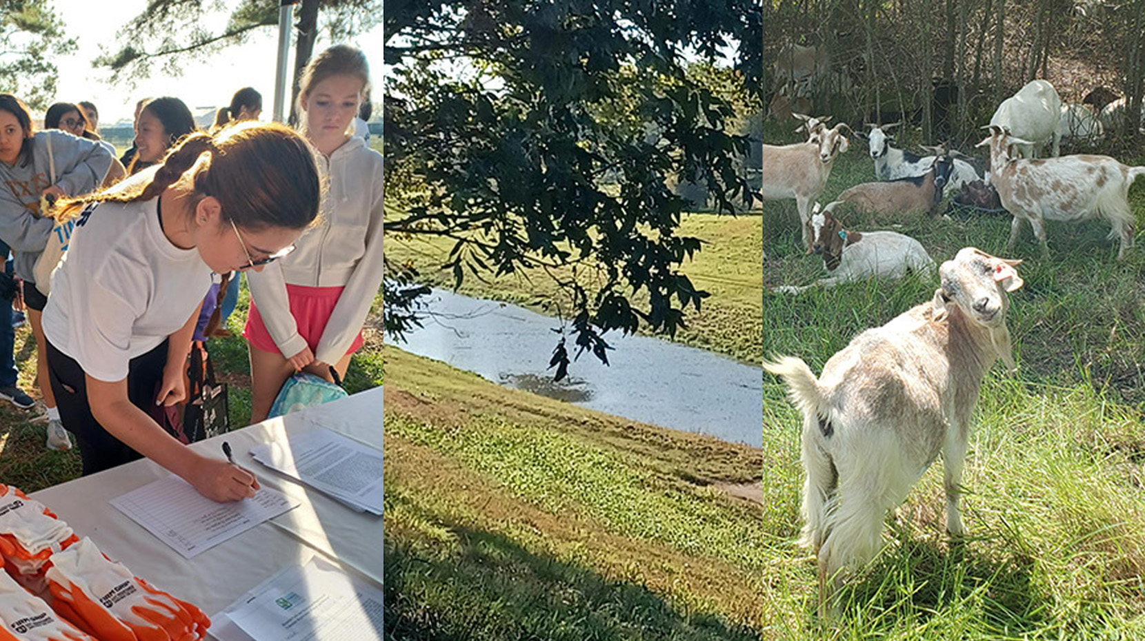 Better Bayous, Better Texas